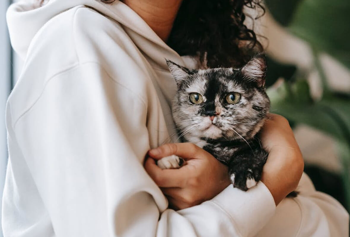 Güvenli ve Konforlu Ortam Nasıl Hazırlanır?